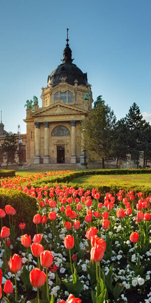 Budapest - spring panorama
